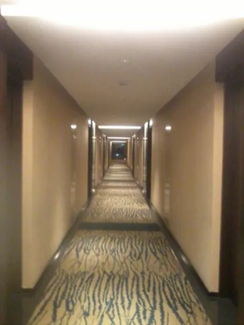 Gambar 2.9.(Koridor Hotel Hilton Bandung)  Sumber : Dokumen pribadi, 2013 