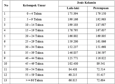 Tabel 4.2   Jumlah Penduduk Kabupaten Bogor Menurut Kelompok Umur    Tahun 2004   