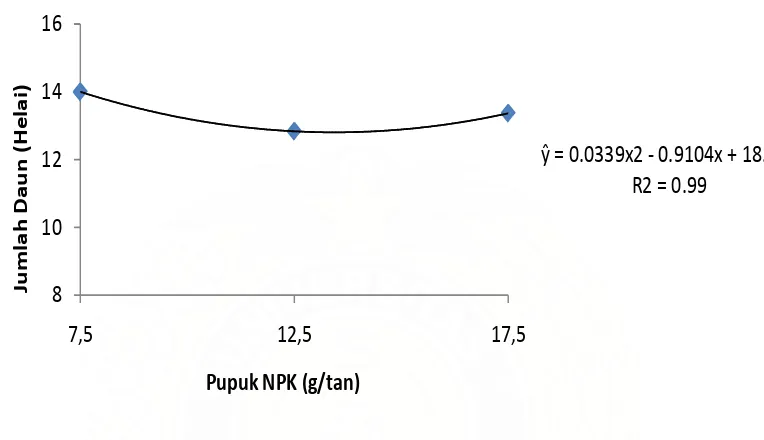 Tabel 3. Jumlah daun tanaman kakao umur 15 MSPT pada berbagai komposisi media tanam dan dosis NPK 