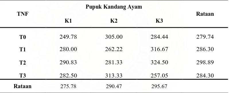 Tabel 9 : Bobot segar Tongkol jagung manis (g) pada berbagai konsentrasi pupuk TNF dan berbagai dosis pupuk kandang ayam  