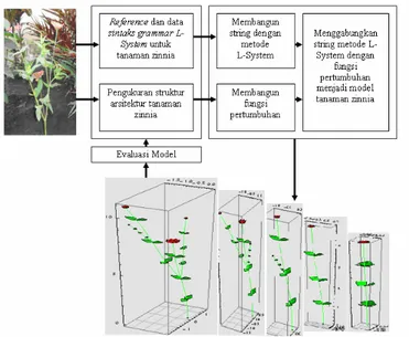 Gambar 3.1 Diagram dari pemodelan pertumbuhan dan  visualisasi tanaman zinnia dengan metoda L-System  Gambar  3.1  menjelaskan  tentang  prototipe  dari  pemodelan  pertumbuhan  tanaman  dan  visualisasi  tanaman  zinnia menggunakan metoda L-System, yaitu 