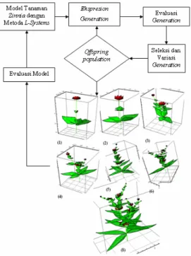 Gambar 4.1 Diagram dari pemodelan pertumbuhan  tanaman zinnia dengan metoda Genetic L-System Programming