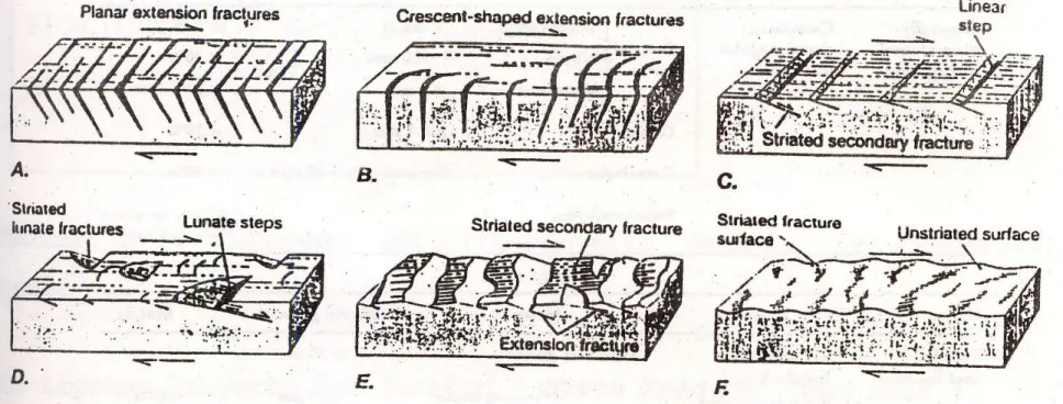 Diagram blok permukaan  Bidang  Sesar