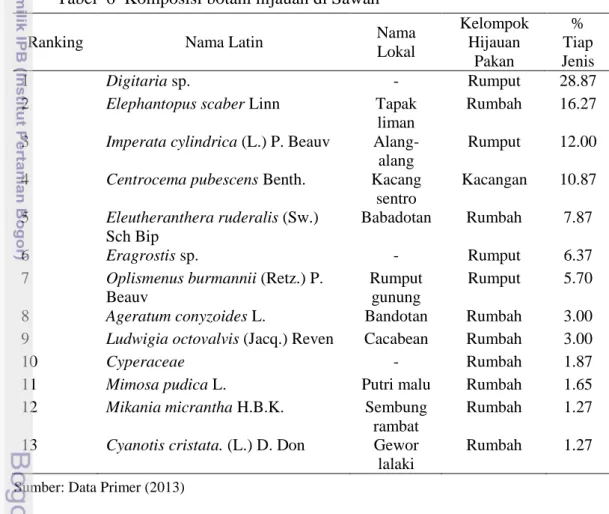 Tabel  6  Komposisi botani hijauan di Sawah 