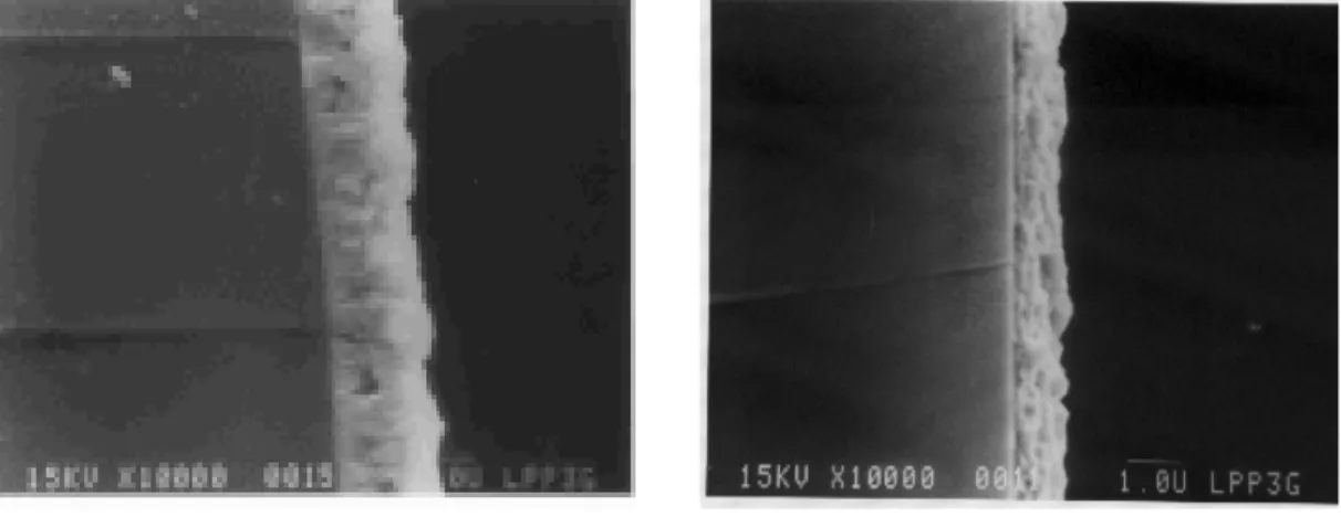 Gambar 7.  Hasil foto  tampang lintang, (a). ketebalan lapisan 1,5 µm, (b). ketebalan  lapisan 1µm (perbesaran 10.000 kali)