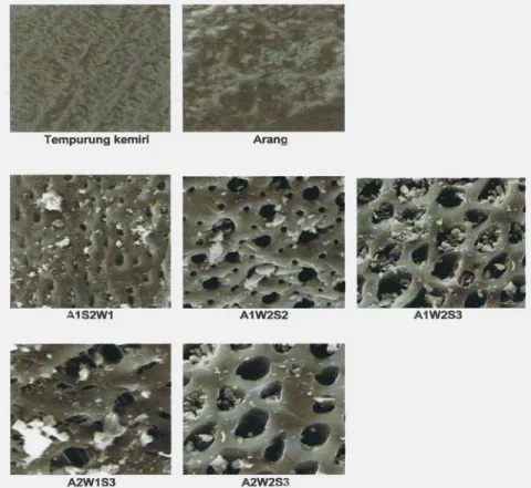 Gambar 3. Mikrofotogram SEM pada permukaan tempurung, arang dan arang aktif kemiri (Perbesaran 5000x)