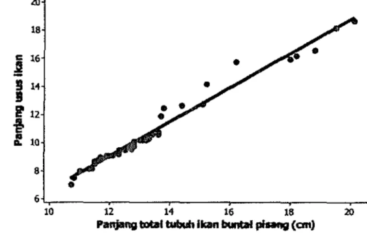 Gambar 10  Grafik korelasi panjang total tubuh dengan panjang usus  ikan  buntal pisang