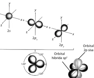 Gambar 2.12 Pembentukan orbital hibrida sp 2 . Hibridisasi satu orbital atom s dan dua orbital atom p membentuk orbital hibrida sp 2  dengan orientasi ruang trigonal planar dengan sudut masing-masing 120°.