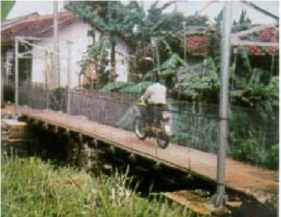 Gambar 13. Jembatan di Pedesaan 