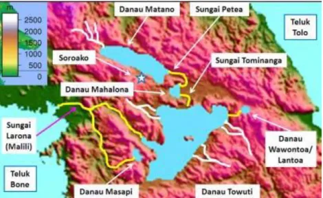 Gambar  1.  Peta  Topografi  Kompleks  Danau  Malili.  Garis  kuning  menunjukkan  sistem  sungai  yang  menghubungkan  masing-masing  danau  dan  menjadi  satu  sebelum  bermuara  ke  Teluk  Bone