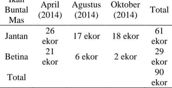 Tabel 1.  Jumlah  ikan  yang  tertangkap  selama  penelitian  berdasarkan  bulan pengambilan sampel.