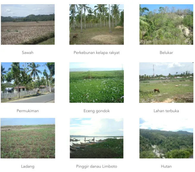 Gambar 3. Foto penutup lahan yang dijumpai di Sekitar Danau Limboto