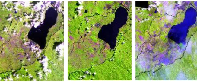 Gambar 2. Data satelit penginderaan jauh yang digunakan dengan garis hitam adalah batas                                                 DTA Danau Tondano (Sumber: LAPAN)