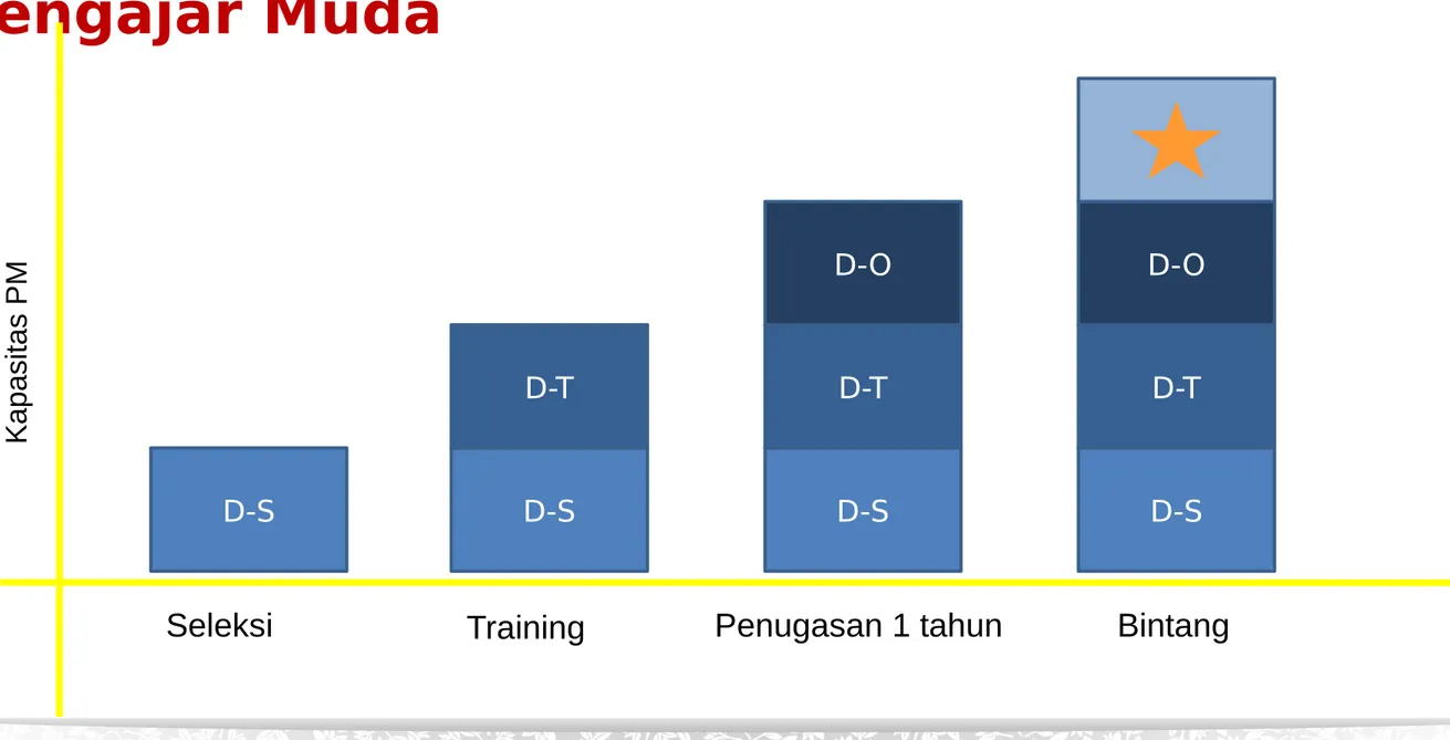 Diagram pengembangan sekolah  kepemimpinan  Pengajar Muda D-SKapasitas PM Seleksi D-S