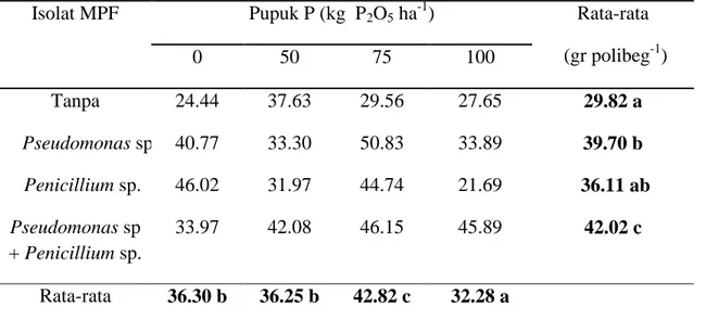 Tabel 5.  Pengaruh Isolat MPF dan Dosis Pupuk P terhadap Hasil Panen Padi Gogo                  (Gabah Kering Giling) 