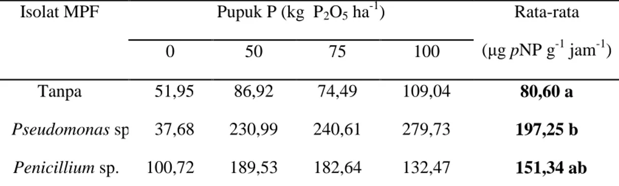 Tabel 2 . Pengaruh Inokulasi MPF dan Dosis Pupuk P terhadap Fosfatase Tanah  Isolat MPF  Pupuk P (kg  P 2 O 5  ha -1 )  Rata-rata 