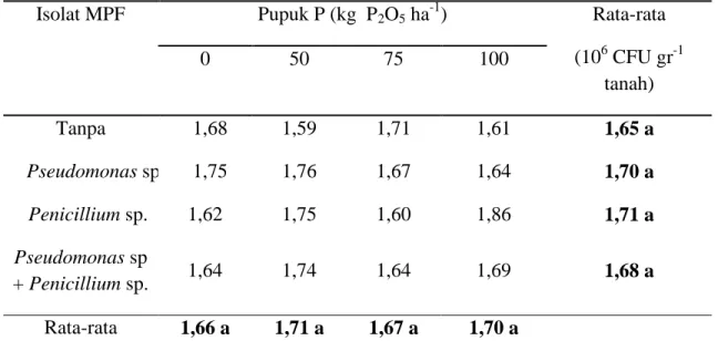 Tabel 3 . Pengaruh Inokulasi MPF dan Dosis Pupuk P terhadap Populasi MPF   Isolat MPF  Pupuk P (kg  P 2 O 5  ha -1 )  Rata-rata 