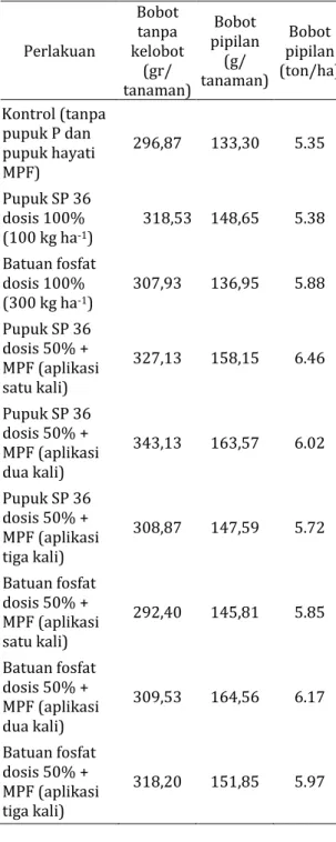 Tabel 3  Pengaruh MPF dan pupuk P terhadap   terhadap    bobot  tanpa  kelobot  dan   bobot pipilan   Perlakuan  Bobot  tanpa  kelobot  (gr/  tanaman)  Bobot  pipilan (g/  tanaman)  Bobot  pipilan  (ton/ha)  Kontrol (tanpa  pupuk P dan  pupuk hayati  MPF) 