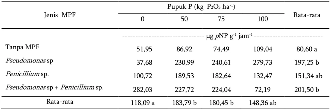 Tabel 3.  Pengaruh Jenis MPF dan dosis pupuk P terhadap konsentrasi P 