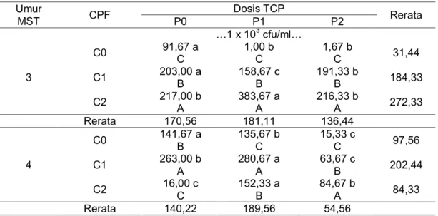 Tabel 3  Pengaruh  cendawan  pelarut  fosfat  dan  dosis  TCP  pada  parameter  kepadatan populasi cendawan pada media tanam umur 3-4 MST 