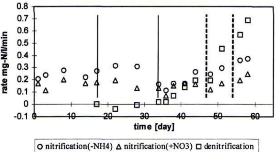 Figure 8. Performance of nitrification and denitrification rate based on nitrate utilization