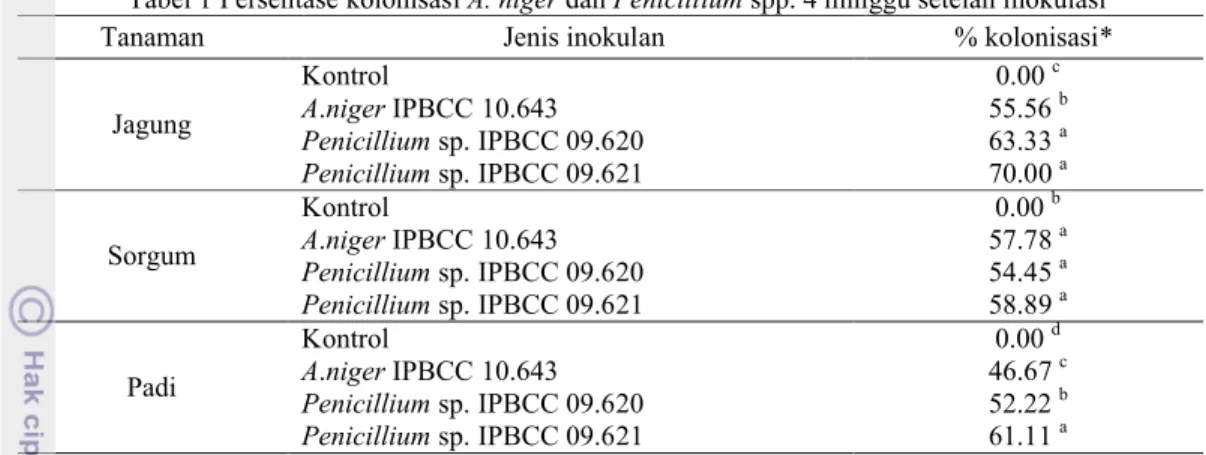 Tabel 1 Persentase kolonisasi A. niger dan Penicillium spp. 4 minggu setelah inokulasi