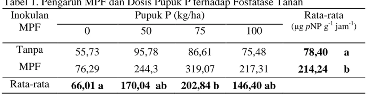 Tabel 1. Pengaruh MPF dan Dosis Pupuk P terhadap Fosfatase Tanah   Inokulan 