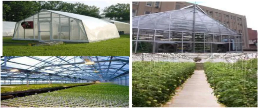 Gambar 1. Greenhouse dan alat pendukungnya  Sumber: greenestcity.ca 