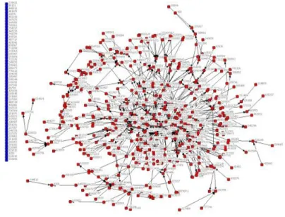 Gambar 1.    Visualisasi jejaring. 