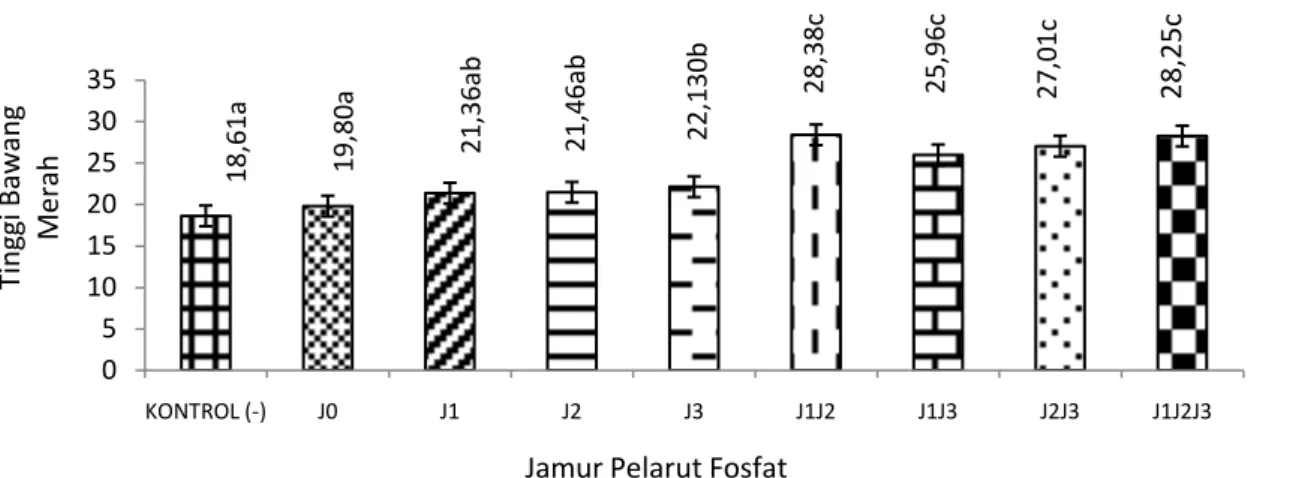 Gambar 5.  Pengaruh  jamur  pelarut  fosfat  terhadap  berat  brangkasan  kering  bawang  merah  (J0=tanpa isolat, J1=Entisol Bantul, J2=Andisol Tawangmangu, J3=Vertisol Palur