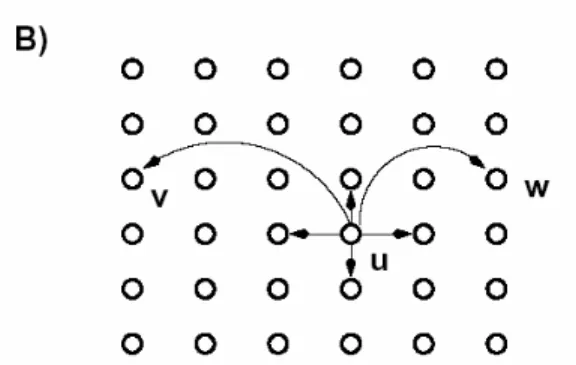 Gambar 5: (B) Keadaan simpul u dengan p = 1  dan q = 2. v dan w adalah dua hubungan 