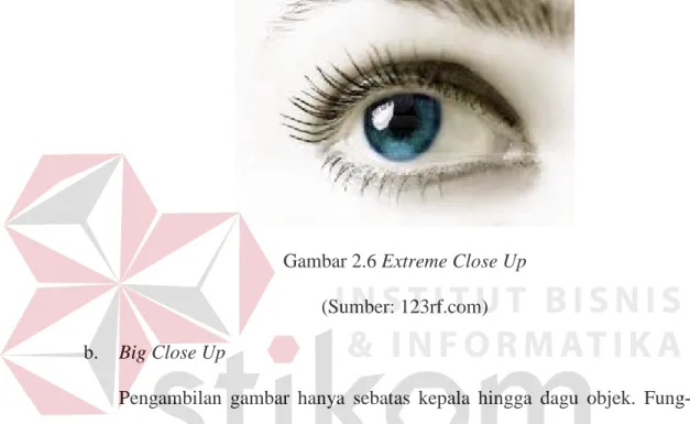 Gambar 2.6 Extreme Close Up  (Sumber: 123rf.com)  b.  Big Close Up 