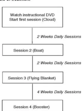 FIGURE 1  Flow of treatment. 