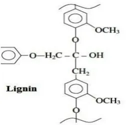 Gambar 2.2.1  Struktur lignin 