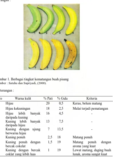gambar 1. Berbagai tingkat kematangan buah pisang  Sumber : Satuhu dan Supriyadi, (2000)