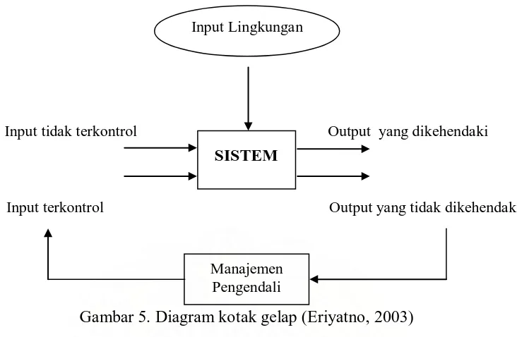 Gambar 5. Diagram kotak gelap (Eriyatno, 2003) 