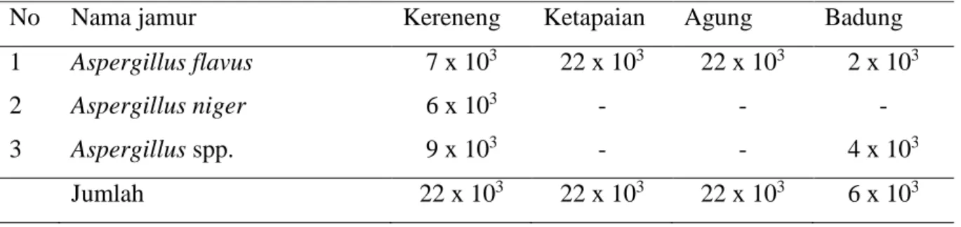 Tabel  2.  Jamur  asal  beras  yang  mampu  diisolasi  dari  pasar  Kereneng,  Ketapain,  Agung  dan  pasar Badung (per gram) 