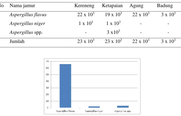 Tabel 3. Jamur asal jagung yang mampu diisolasi dari pasar Kereneng, Ketapaian, Agung dan  pasar Badung (per gram) 