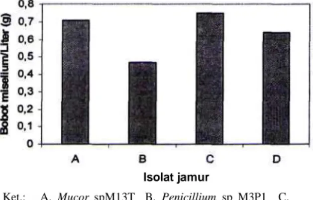 Gambar 1. Bobot miselium jamur pada media mengandung CMC