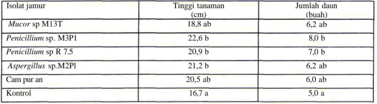 Tabel 3. Pertumbuhan vegetativ tanaman Terong Isolat jamur Mucor sp M13T Penicillium sp