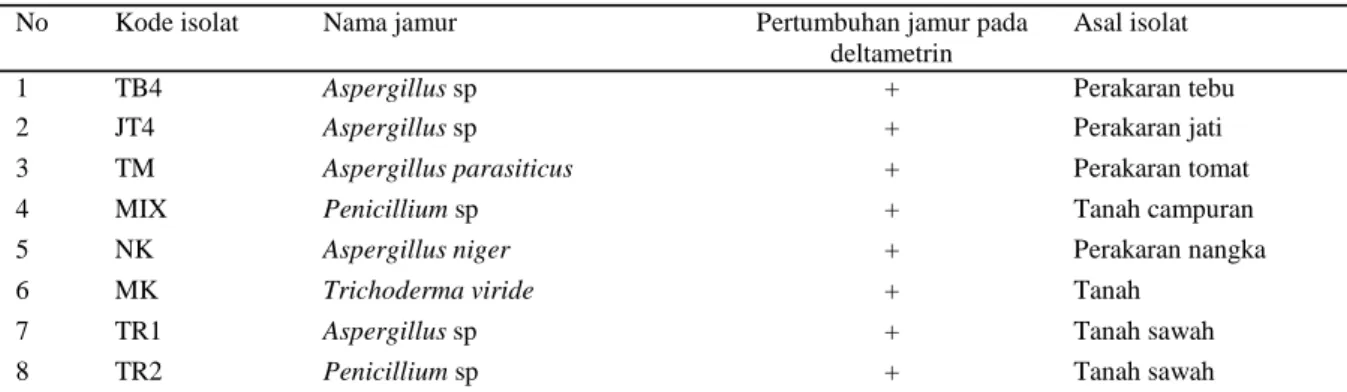 Tabel 1. Pertumbuhan isolat jamur pada media mineral mengandung Deltametrin 500 ppm (mg/L)  