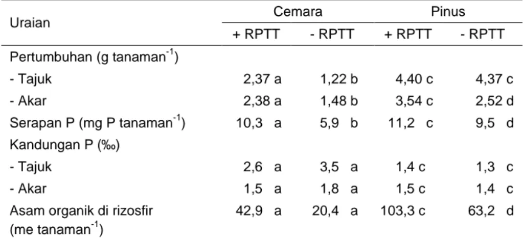 Tabel 4. Pertumbuhan, serapan dan kandungan P, kandungan asam organik pada rizosfir cemara dan pinus umur 2 tahun yang diinokulasi oleh Agrobacterium sp