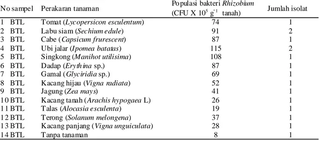 Tabel  2.    Populasi  bakteri  Rhizobium  dari  perakaran  tanaman  ladang  Desa  Watulansi, Kecamatan Wakorumba Utara, Kabupaten Muna, Provinsi Sulawesi Tenggara pada ketinggian 75 m dpl.