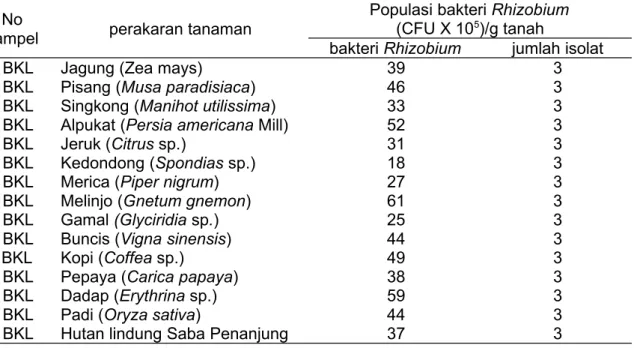 Tabel   1.   Populasi   bakteri  Rhizobium  dari   desa   Suro   Muncang,   Kecamatan   Ujan   Mas, Kabupaten   Kapahiang, Propinsi Bengkulu.