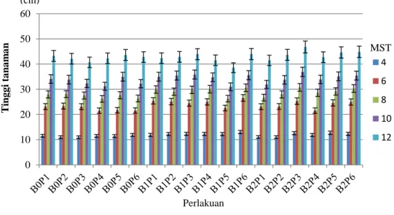 Gambar 2. Pengaruh pupuk organik hayati pelarut fosfat terhadap tinggi bibit kelapa sawit pada 4 - 12 MST 05101520254681012(mm) MST Perlakuan Diameter bonggol 01020304050604681012(cm) MST Tinggi tanamanPerlakuan 