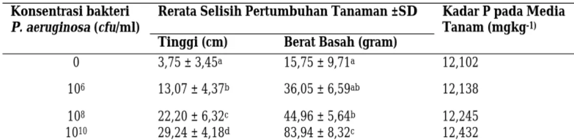 Tabel 1. Rerata pertumbuhan dan kadar P pada media tanam tanaman Aglaonema usia ke-30 HST  Konsentrasi bakteri  
