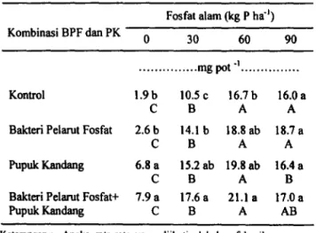 Tabel  4.  Pengaruh Dosis  Fosfat Alam dan  Bakteri  Pelarut  Fosfat  Pseudomonas jluorescens  dengan  Pupuk  Kandang  lOt  ha· 1  terhadap Serapan P  pada  Tanah  Ultisol 