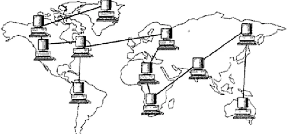 Gambar 1.3 Wide Area Network (WAN) 