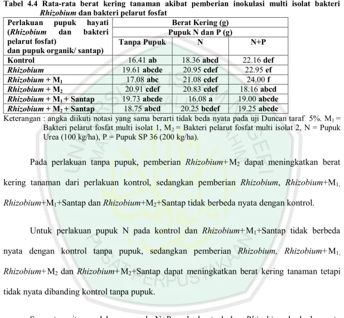 Tabel 4.4 Rata-rata berat kering tanaman akibat pemberian inokulasi multi isolat bakteri Rhizobium dan bakteri pelarut fosfat