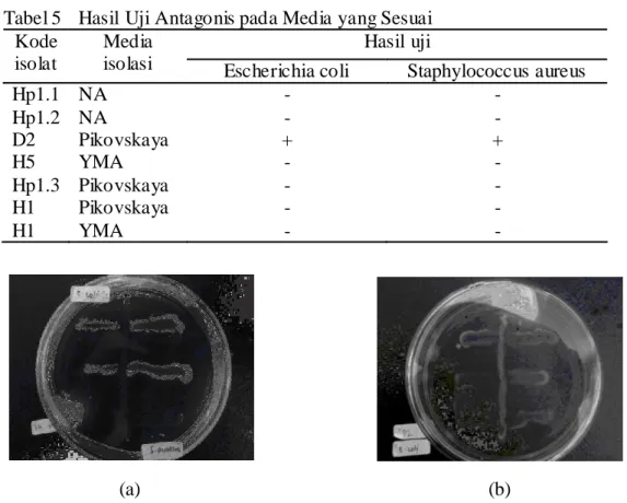 Tabel 4 Hasil Uji Antagonis 